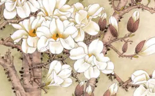 2026年05月12日出行黄历查询