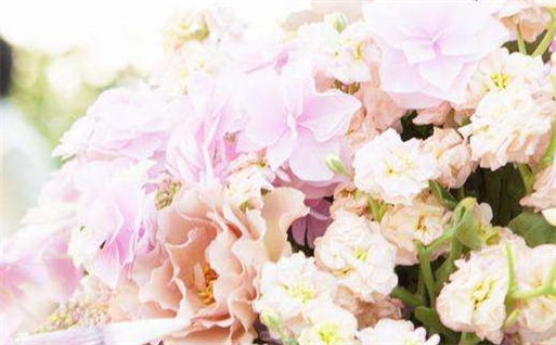 2027年03月11日老黄历适合出门吗