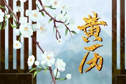 弊衣疏食是什么生肖(弊衣疏食是什么生肖的动物)