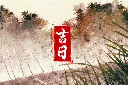 2016年属猪的运程_2016年生肖猪运势