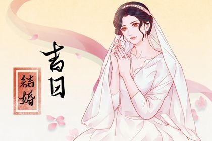 属猪和属鼠的性格解析与命理关系揭秘