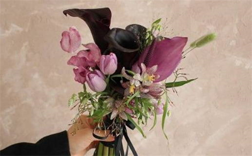 屡战屡败打一生肖(歇后语屡战屡败的前一句?)