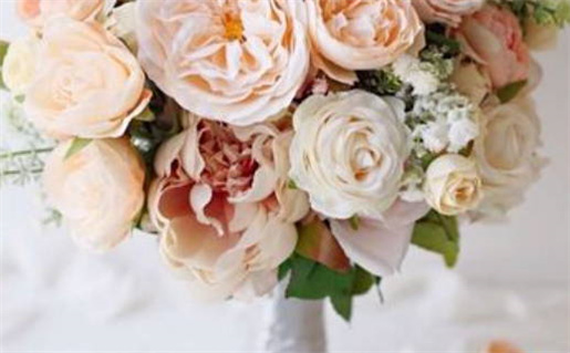 十二生肖星座配对_十二生肖星座配对查询表