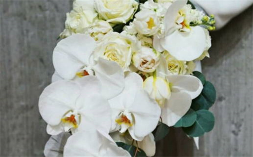 2023年3月18日是黄道吉日吗_2023年3月18日黄历