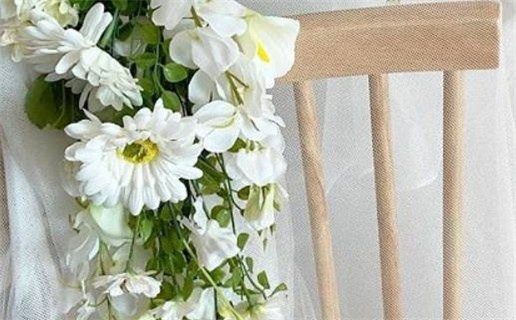 生辰八字免费算命全面解析你的命运与人生