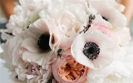 2023年3月21日黄道吉日查询(2023年3月21号)