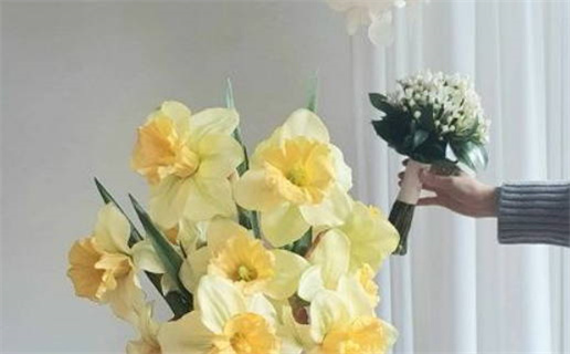 2012生肖运势_2012生肖运势查询