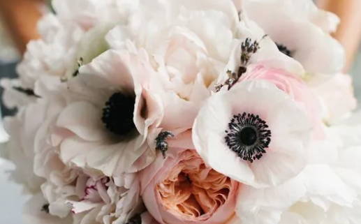 童心未泯代表什么生肖_童心未泯代表什么生肖和动物