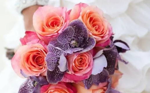 查八字_查八字免费