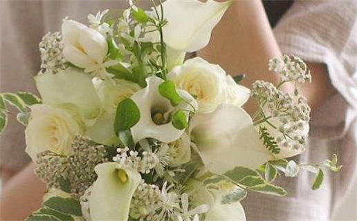 黑肖是哪几个生肖(黑肖是哪几个生肖动物)