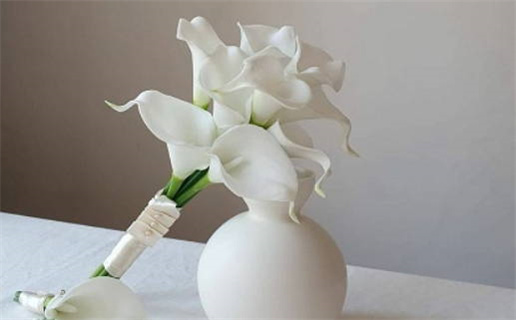 怎么查上升星座(怎么查上升星座,太阳星座,月亮星座)