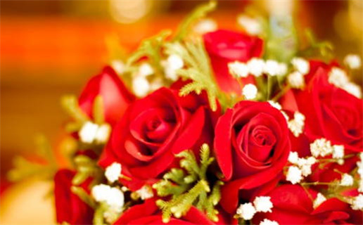 八字详批指南全面解读你的命运奥秘