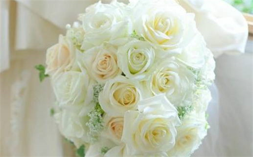 蛇年运势2025年十二生肖运势(蛇年运势2025年十二生肖运势犯太岁)