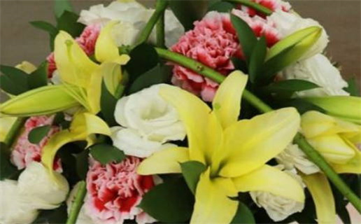 6月30日是什么星座(6月30日是什么星座)