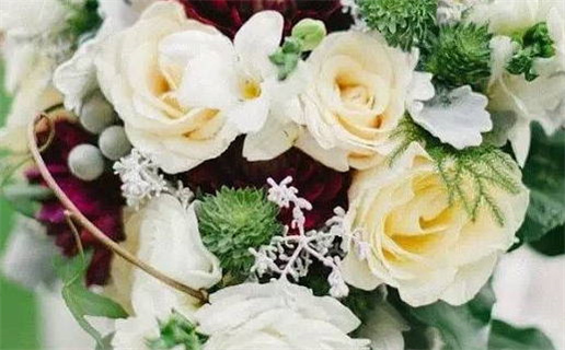 五行属性查询方法大全快速看懂金木水火土