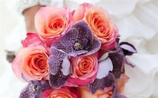 出生日期起名(出生日期起名字免费起名)