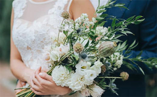 年少有为的生肖揭晓哪些生肖最具潜力与成功机会