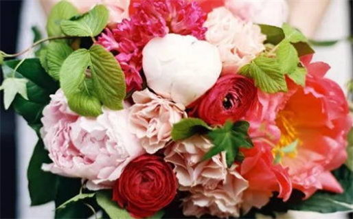 身无分文的生肖是什么答案解析与寓意揭秘