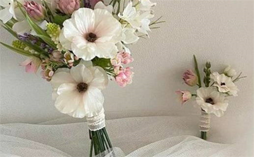 2014生肖运势(2014生肖运势苏民峰)