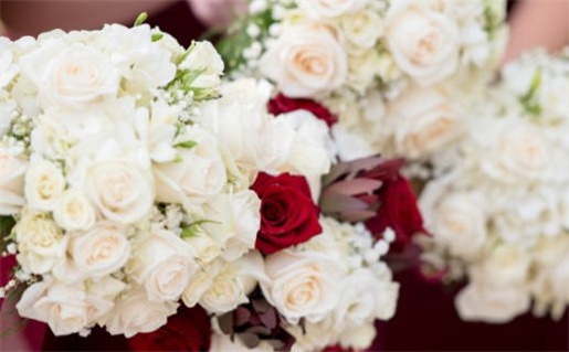 4月16日是什么星座(4月16日是什么星座的)