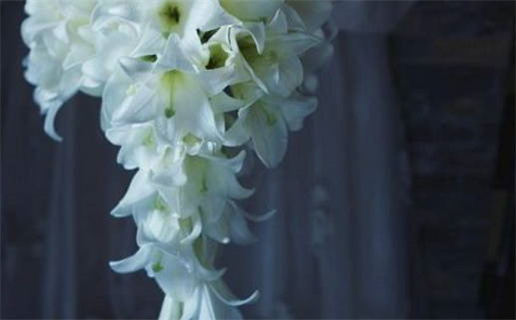 余姓起名(余姓起名有水有木)