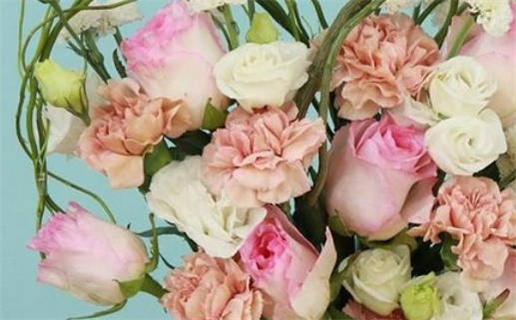 12月1日是什么星座(12月1日是什么星座的正确的答案)