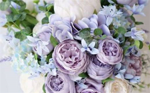 缘来是命打一生肖_缘来是命打一生肖动物