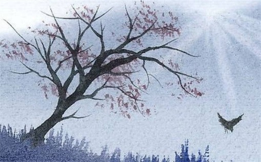 文章配图