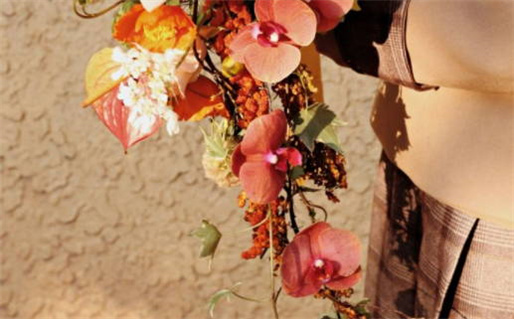 今日穿衣五行颜色(今日穿衣五行颜色指南)