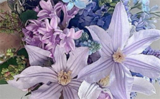 服装店起名(服装店起名字招财大全)