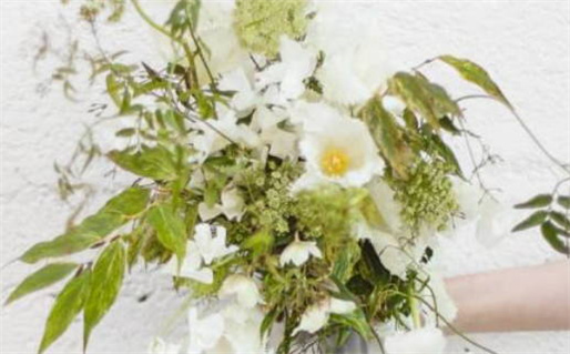 十二月是什么星座_十二月是什么星座呀