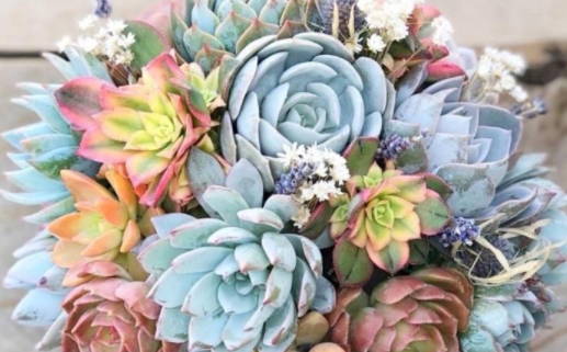 巨蟹座男生最配星座(巨蟹座男最佳配对星座)