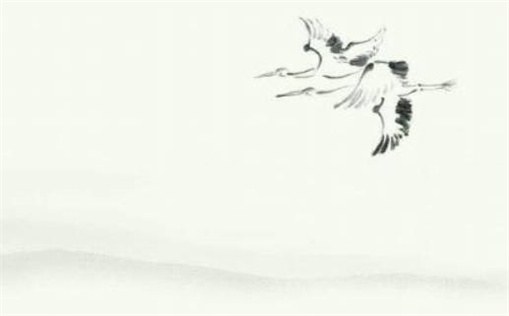 12月25日是什么星座(12月25日是什么星座的正确的答案)