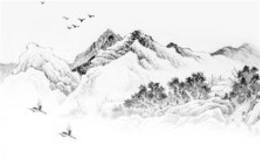 属猪2019年年龄对照表最新解析