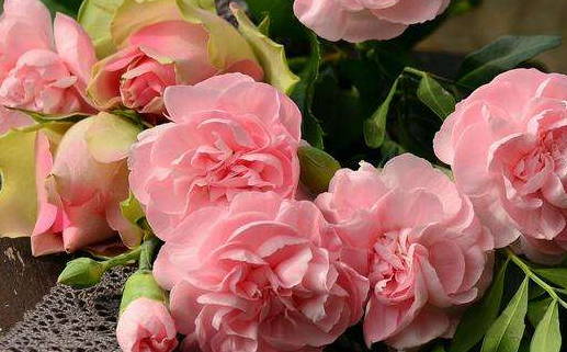 2026年08月13日结婚黄历查询