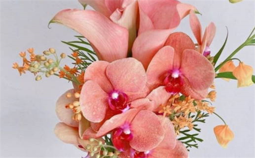 2027年03月21日老黄历适合迎亲吗