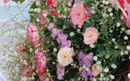 农历二〇二六年三月十五黄历不适合迎亲吗,结婚好日子有哪些