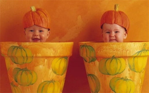 刘姓2026/05/19出生男宝宝起名全攻略：名字推荐与禁忌字分析