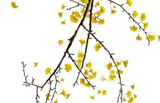 2026年06月04日装修黄历查询